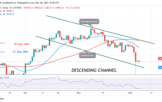 Bitcoin (BTC) Price Prediction: BTC/USD Consolidates above $49,000 as Bears Resume Selling Pressure