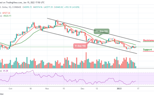Bitcoin Price Prediction