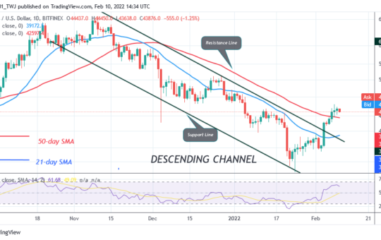 Bitcoin (BTC) Price Prediction: BTC/USD Struggles below $45K as Bitcoin Risks Decline below $42K