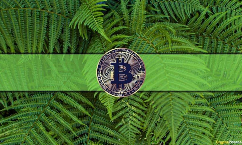 Bitcoin Fear and Greed Index Shows Greed as BTC Soared