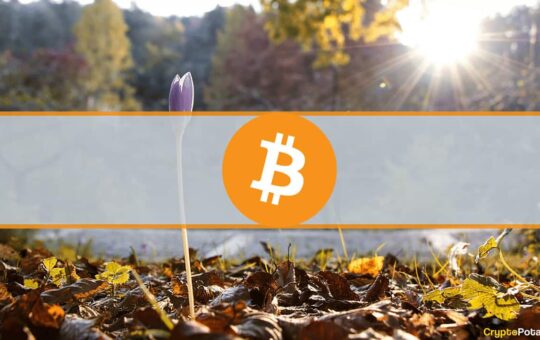 Central African Republic Makes Bitcoin Legal Tender