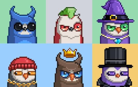 What are Moonbirds? Guide to the NFT Collection