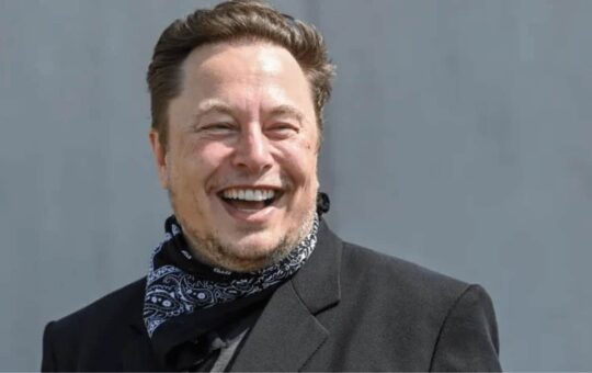 Elon Musk Calls Dogecoin Co-Creator Jackson Palmer a “Tool”