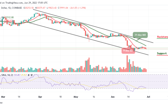 Bitcoin Price Prediction