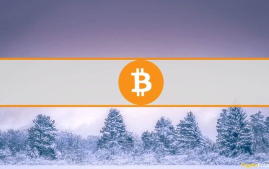 This Crypto Winter is Much Similar to Previous Ones