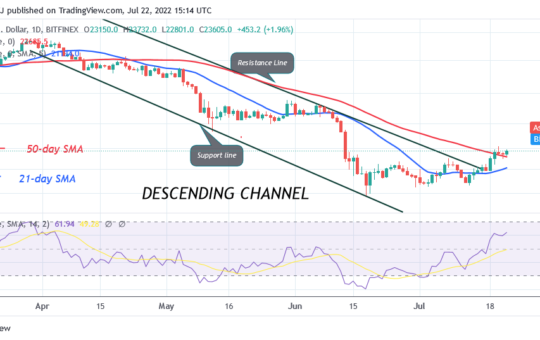 Bitcoin Price Prediction for Today July 22: BTC Price Is Unable To Sustain Above $24K