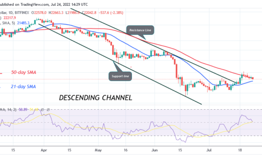 Bitcoin Price Prediction for Today July 24: BTC Price may revisit the $20.7K low