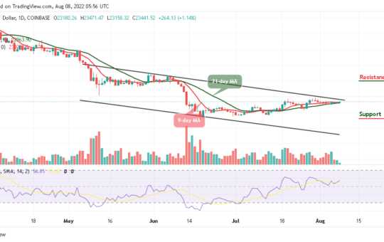 Bitcoin Price Prediction