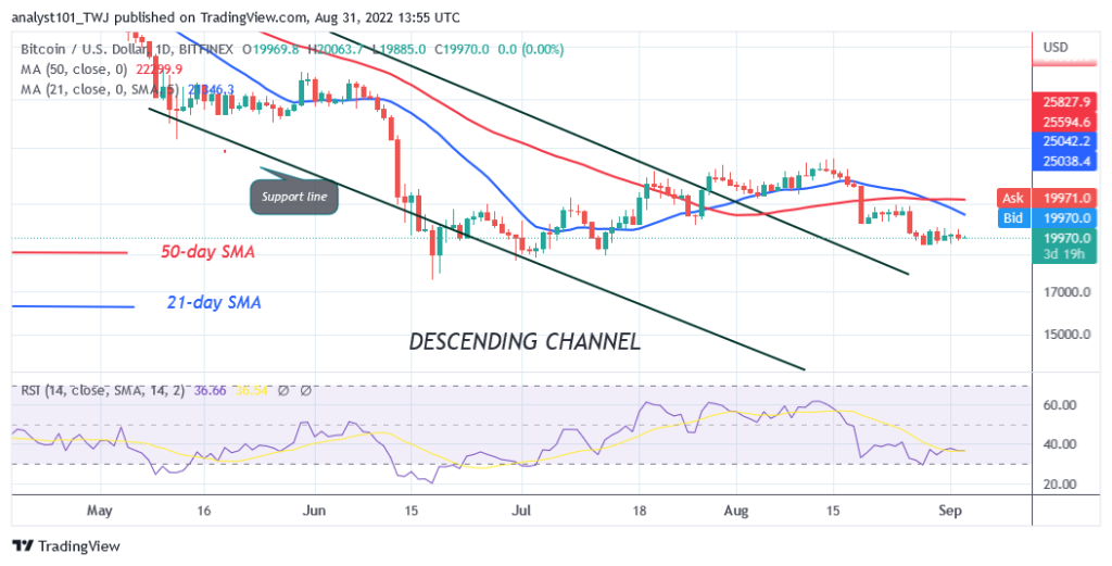 Bitcoin Price Prediction for Today August 31: BTC Price Hovers above $19.5K Crucial Support