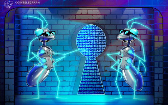 Polygon CSO blames Web2 security gaps for recent spate of hacks