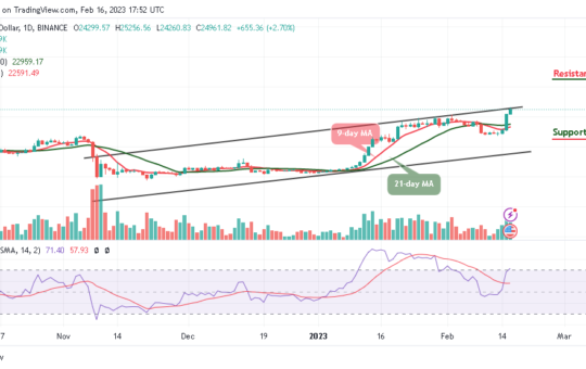 Bitcoin Price Prediction for Today, February 16: BTC/USD Breaks Above $25K; What Next?