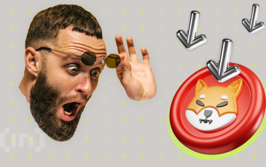 Shiba Inu (SHIB) Price Rallies, but Is Another Drop Incoming?