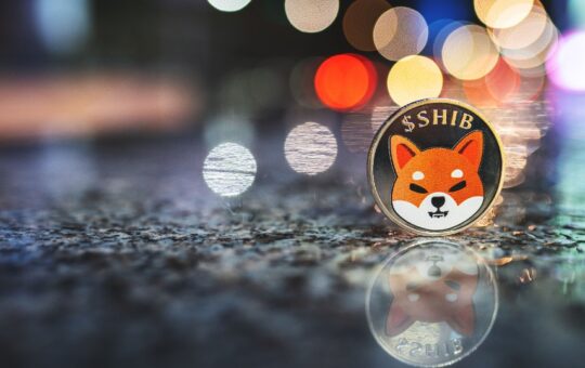 Shiba Inu price prediction as Dogecoin goes vertical