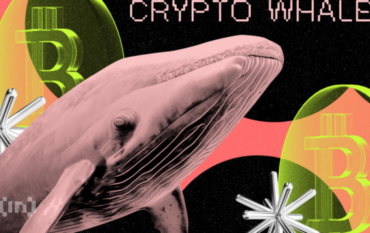 Bitcoin Whales Flee but Exchange Deposits Continue to Grow