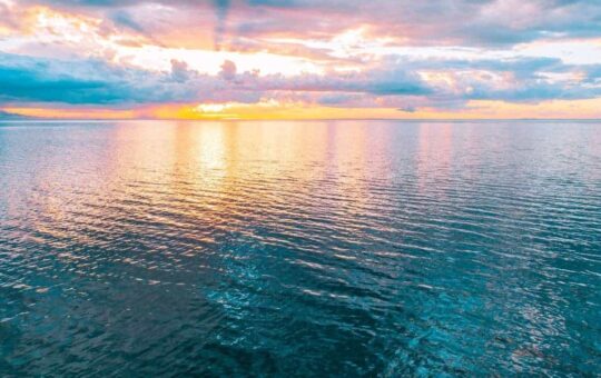 Bitcoin Desperate for Volatility as Crypto Markets Show Little Signs of Life: This Week's Recap