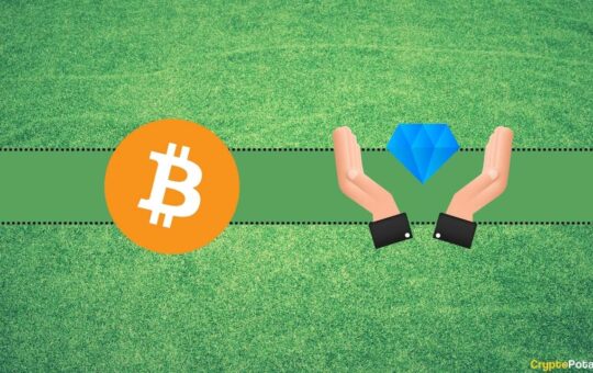 Bitcoin Beats Ripple (XRP), Ethereum (ETH), and Dogecoin (DOGE) in Terms of Average Holding Time