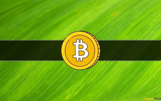 Pro-Ripple Lawyer Bought Bitcoin After This