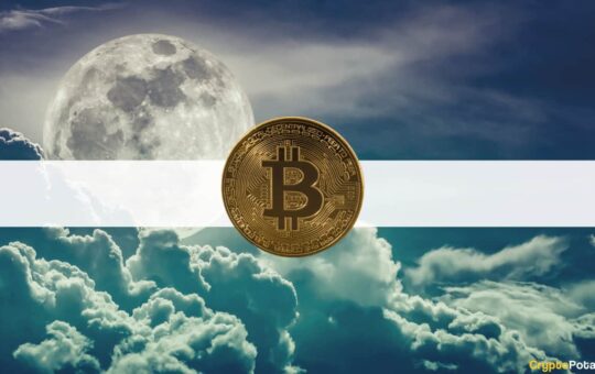 Bitwise Makes Big $80K Bitcoin Price Prediction for 2024