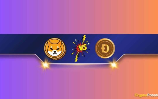 We Asked ChatGPT if Shiba Inu (SHIB) Can Flip Dogecoin (DOGE) in 2024