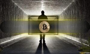 Unseen Satoshi Nakamoto Emails Revealed, What Do They Tell Us?