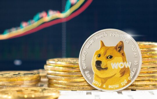 Dogecoin Price Pumps After Elon Musk Shares D.O.G.E. Plans at Massive Trump Rally