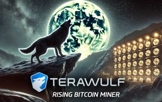 TeraWulf: Overview of a Rising Bitcoin Miner in 2024