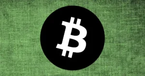 Bitcoin Bull Run
