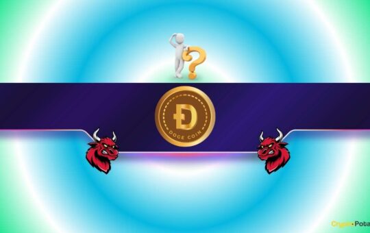 Dogecoin (DOGE) Might Explode Soon But Under This Important Condition (Analyst)