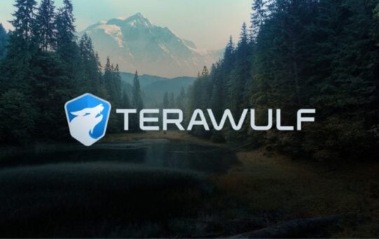 Google secures option for 8% stake in Bitcoin miner TeraWulf via $1.8B backstop deal