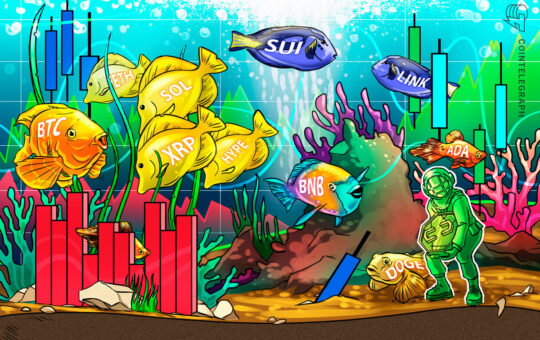 Weak PPI Leads To Bitcoin, Altcoin Rally