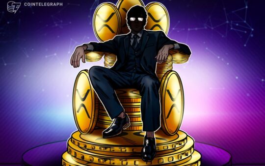 Who Owns the Most XRP in 2025? The Rich List Revealed